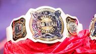 Which team will become the Women's Tag Team Champions at Elimination Chamber?